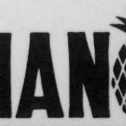 Ananas