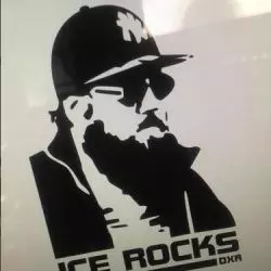 Icerocks DXA