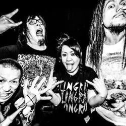 Maximum The Hormone