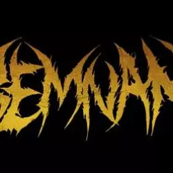 Remnant