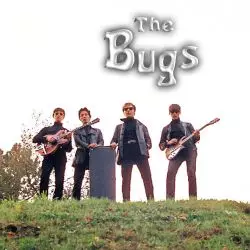 The Bugs