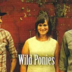 Wild Ponies