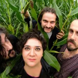 Zea Mays