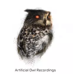 Artificial Owl Recordings