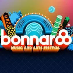 Bonnaroo Festival