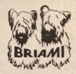 Briami