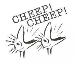 Cheep! Cheep!