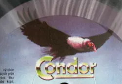 Condor (3)