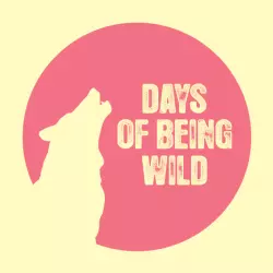 Days Of Being Wild