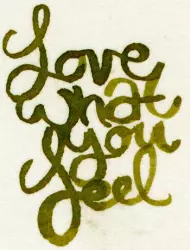 Love What You Feel