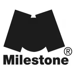 Milestone (4)