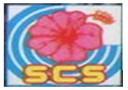 SCS (3)