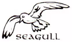 Seagull