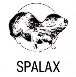 Spalax