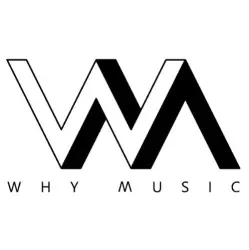 Why Music (3)