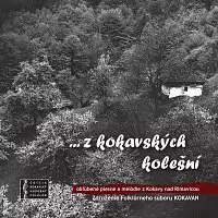 Združenie Folklórneho Súboru K: ... z kokavských kolešní