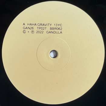 LP 13 Year Cicada: Haha Gravity 566887