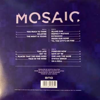 2LP 311: Mosaic 593631