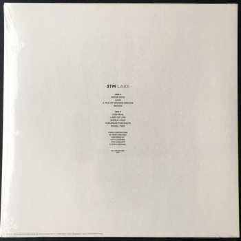 LP 3TM: Lake 493193