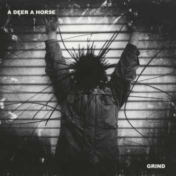 Album A Deer A Horse: Grind