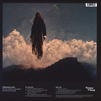 2LP A Mountain Of One: Ricardo Villalobos Reimagines: Stars Planets Dust Me 581339