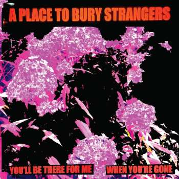 Album A Place To Bury Strangers: You'll Be There for Me / When You're Gone