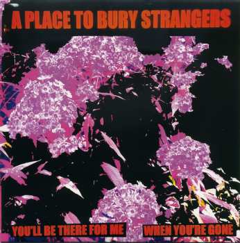 SP A Place To Bury Strangers: You'll Be There for Me / When You're Gone 553848