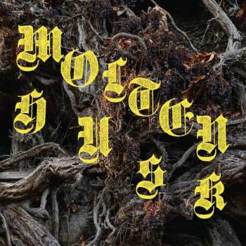 LP Abest: Molten Husk LTD 564408