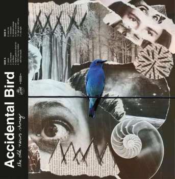 LP Accidental Bird: The Old News Shrug CLR 435165