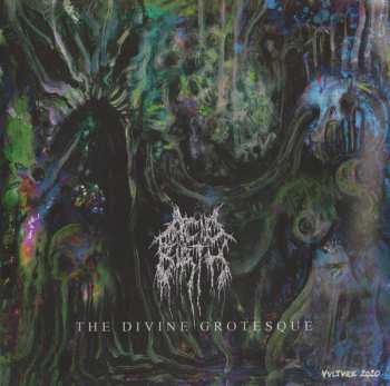 CD Acid Birth: Pleasures Of Flesh / The Divine Grotesque 643273