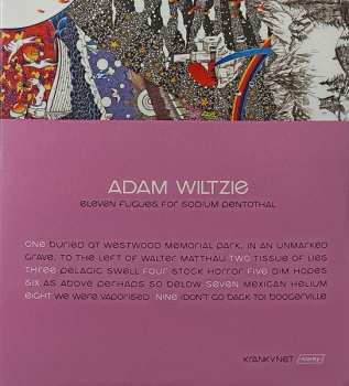 CD Adam Wiltzie: Eleven Fugues For Sodium Pentothal 630010