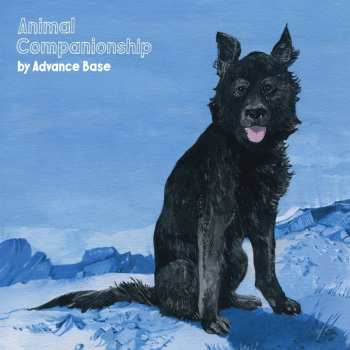 LP Advance Base: Animal Companionship CLR | LTD 600831