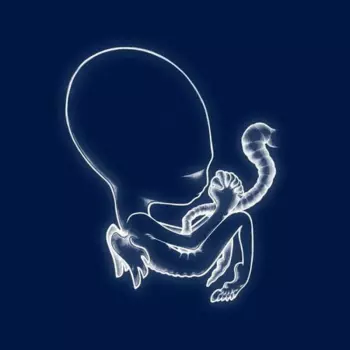 Sigur Rós: Ágætis Byrjun