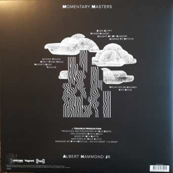 LP Albert Hammond Jr.: Momentary Masters CLR 597294