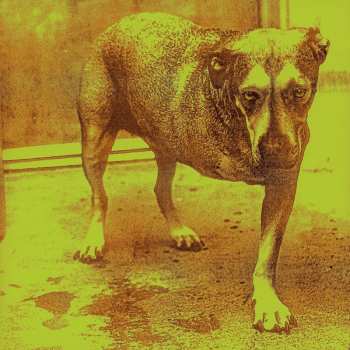 Album Alice In Chains: Alice in Chains