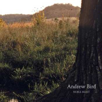 Album Andrew Bird: Noble Beast