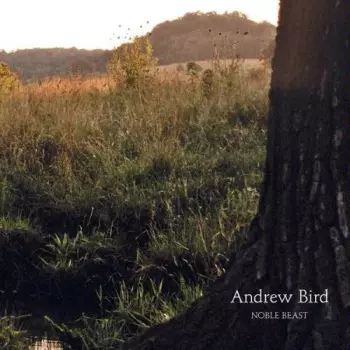 Andrew Bird: Noble Beast