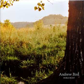 2LP Andrew Bird: Noble Beast 568462