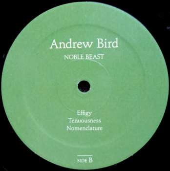 2LP Andrew Bird: Noble Beast 568462