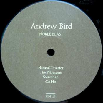 2LP Andrew Bird: Noble Beast 568462