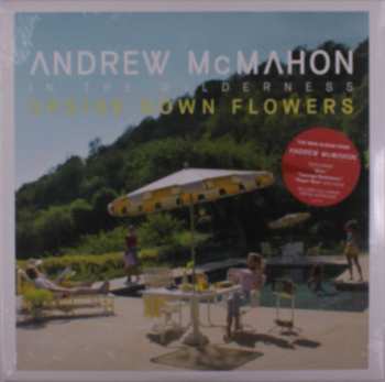 LP Andrew McMahon In The Wilderness: Upside Down Flowers 596589