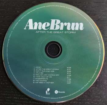 CD Ane Brun: After The Great Storm 637583