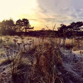 Album Ane Brun: Leave Me Breathless