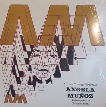 LP Angela Munoz: Introspection (Instrumental) 578489