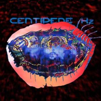 2LP/DVD Animal Collective: Centipede Hz DLX | LTD 310528