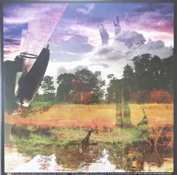 LP Animal Collective: Meeting Of The Waters LTD 639049