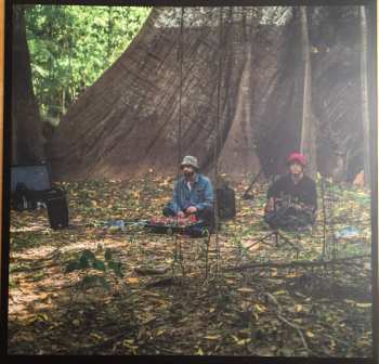 LP Animal Collective: Meeting Of The Waters LTD 639049