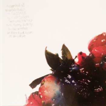 2LP Animal Collective: Strawberry Jam 592644