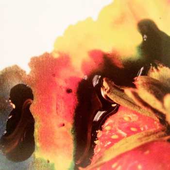 2LP Animal Collective: Strawberry Jam 592644