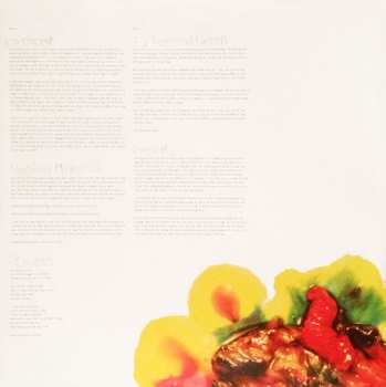 2LP Animal Collective: Strawberry Jam 592644